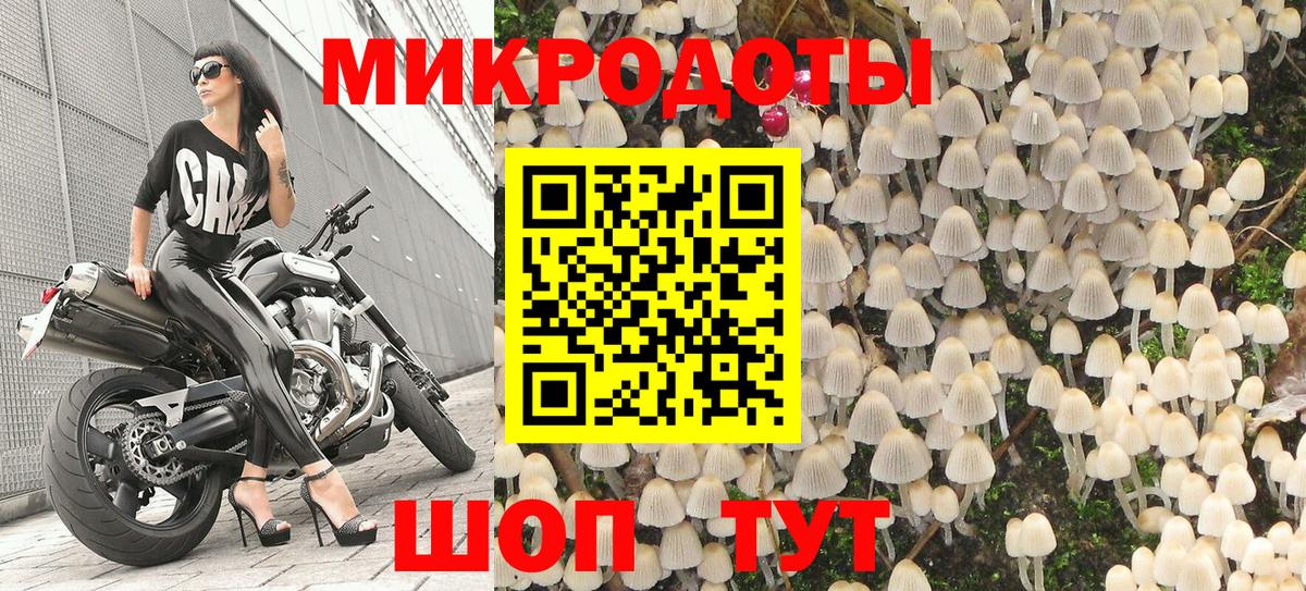 Галлюциногенные грибы Psilocybine cubensis Вышний Волочёк